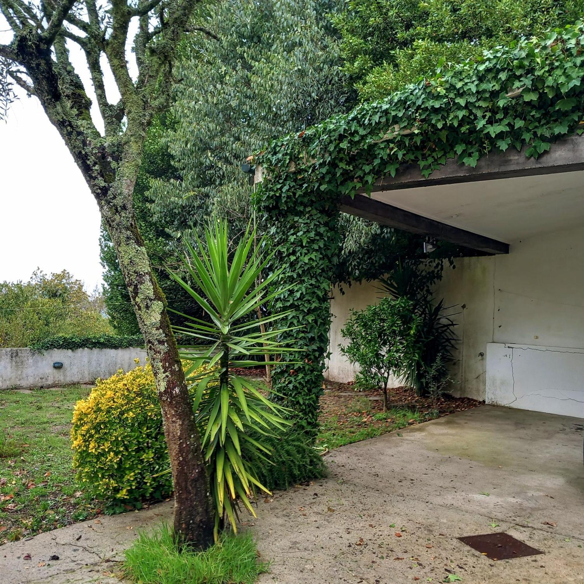 Casa Amarante Porto别墅 外观 照片
