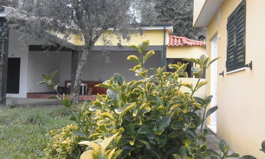 Casa Amarante Porto别墅 外观 照片